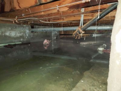 Attic Crawlspace Cleaning