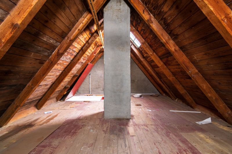 Attic Crawlspace Cleaning