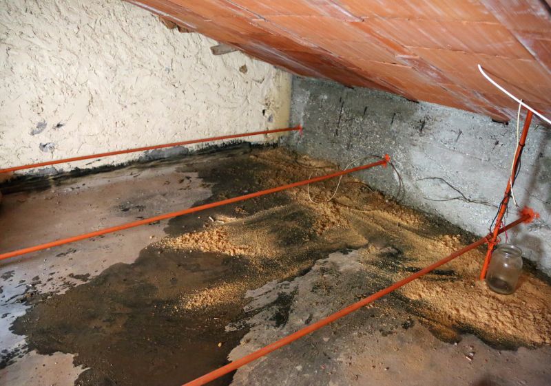 Attic Crawlspace Cleaning