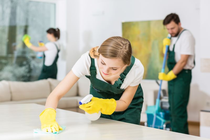 Basement Vacuuming in Kent, WA
