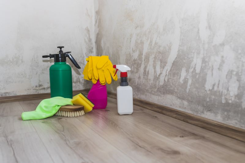 Specialized Cleaning Teams